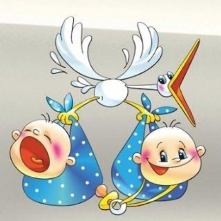 С рождением близнецов