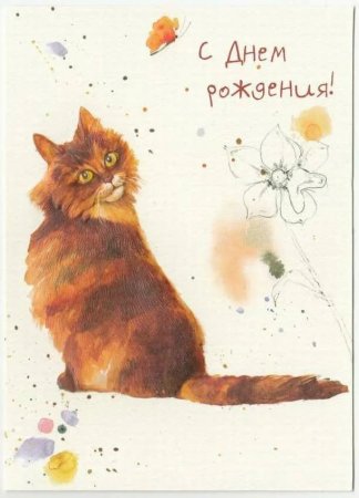 С днем рождения с котами