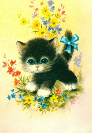 Открытка «котики»