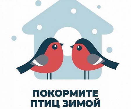 Акция Покорми птиц