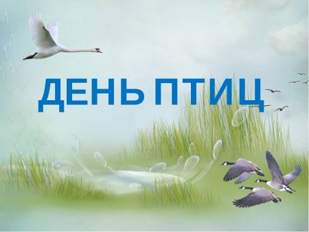 День птиц презентация