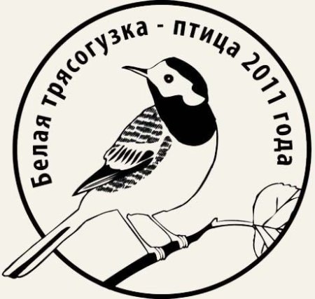 Символ охраны птиц России трясогузка