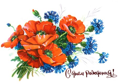 Открытка с маками поздравительная