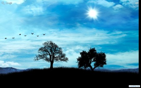 Небо днем и ночью