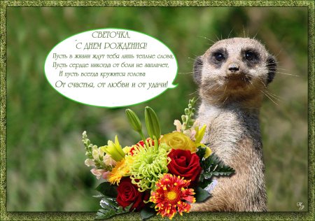 С днём рождения Светочка