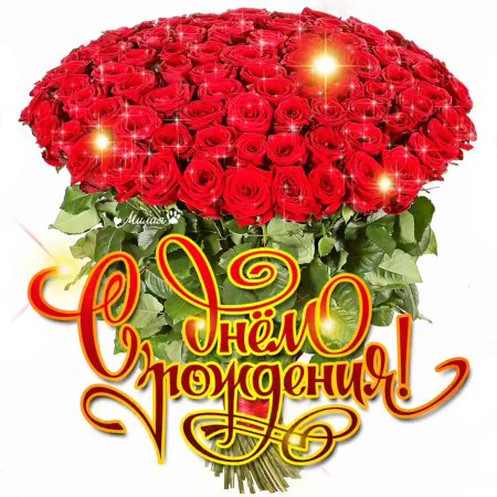 Света с днём рождения
