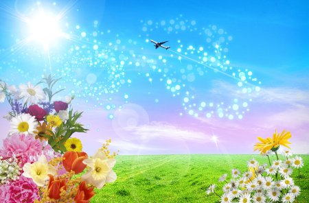 Летний фон для поздравления