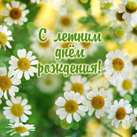 С днём рождения ромашки