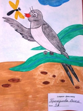 День рисования птиц