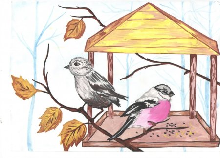 Рисование кормушка