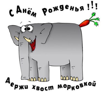 Прикольные поздравления с днем рождения