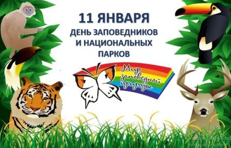 Всероссийский день заповедников и национальных парков рисунок