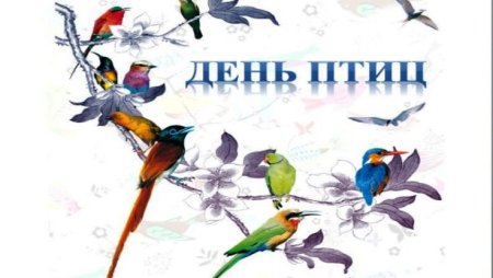Всемирный день птиц