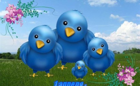 1 Апреля Международный день птиц