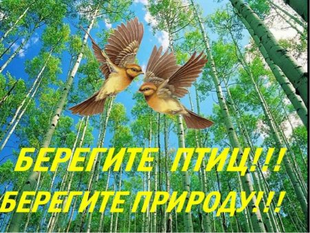 1 Апреля день птиц