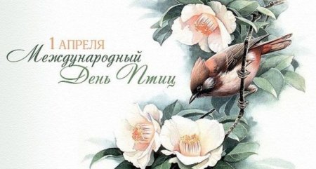 День птиц рисунки детей