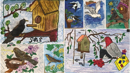 Плакат береги птиц