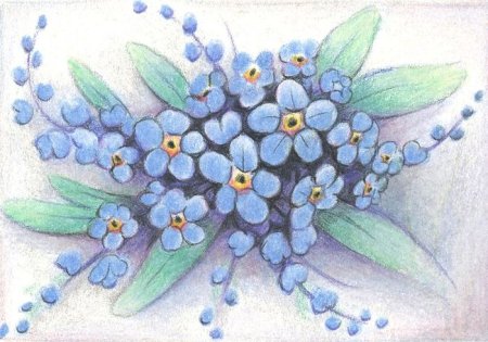 Аппликация цветов незабудки