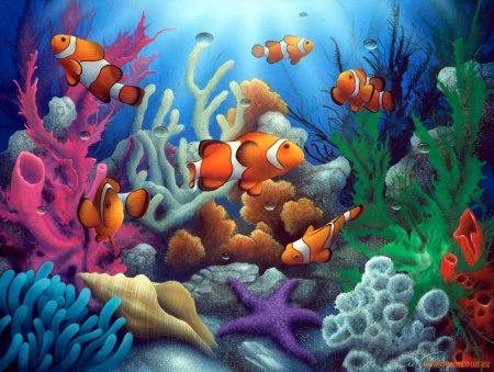 Морское дно с кораллами