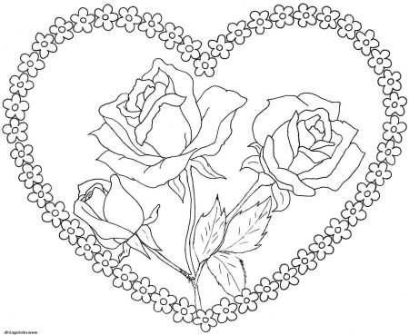 Роза раскраска