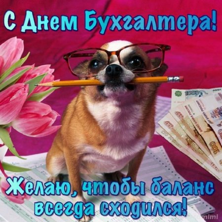 С днём бухгалтера открытки