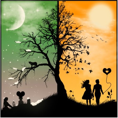 Дерево день и ночь