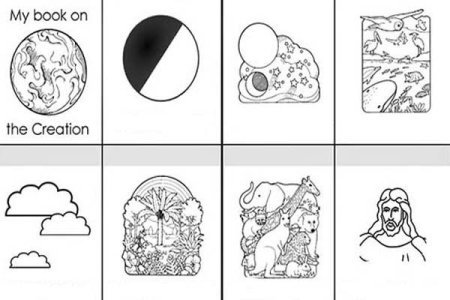 Задания по сотворению мира
