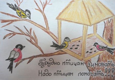 Рисунок на тему Покормите птиц