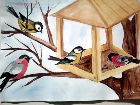 Зимующие птицы рисунок
