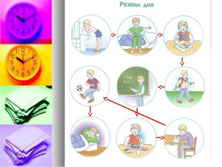 Режим дня раскраска для детей
