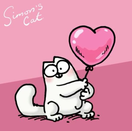 Кот Саймон с шариком