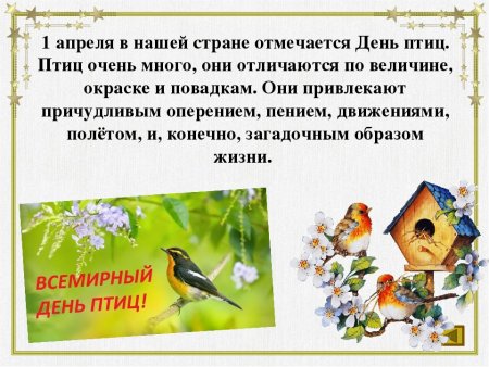 День птиц отмечается