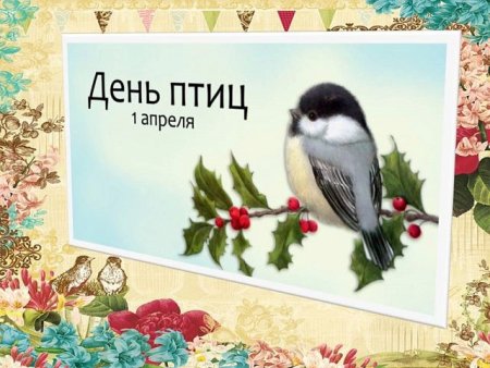 1 Апреля день птиц