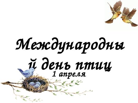 Апрель день птиц