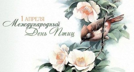 1 Апреля Всемирный день птиц