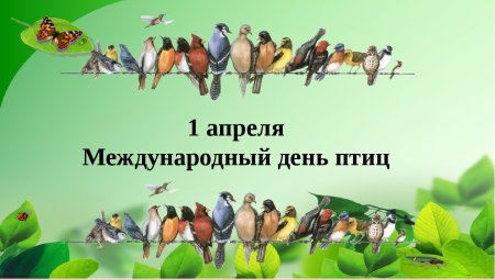 Международный день птиц дата и рисунок (49 фото)