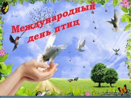 Международный день птиц