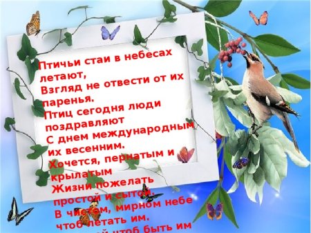 День птиц презентация