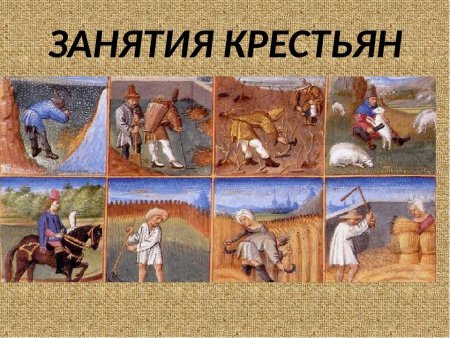 Труд крестьян в средневековой деревне