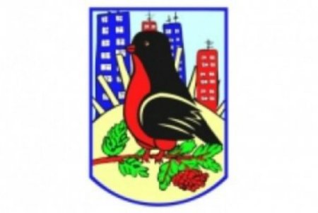 Флаг Калининского района Новосибирска