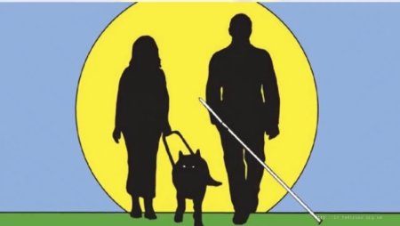 15 Октября Международный день белой трости