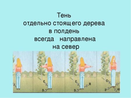 Тень от предметов в полдень