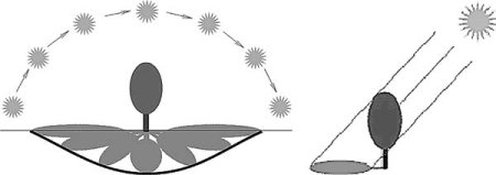 Ориентирование по солнцу ОБЖ