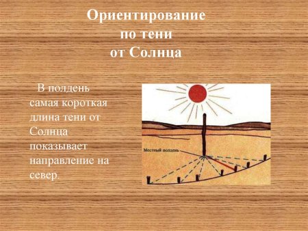 Солнце в полдень находится на юге