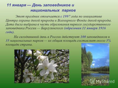 11 Января в России отмечается день заповедников и национальных парков.
