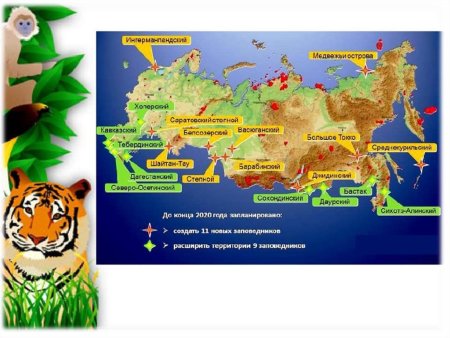 День заповедники и национальные парки России