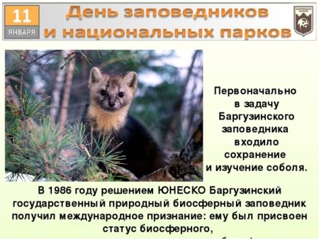 День заповедников и национальных парков