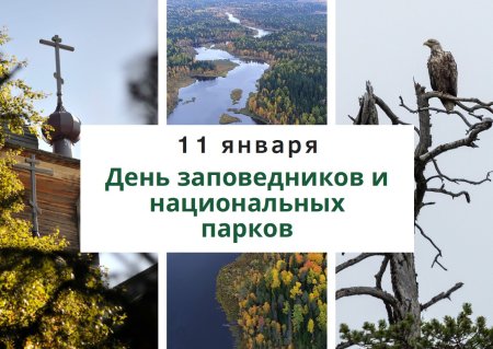 Картинка к Дню заповедников и парков