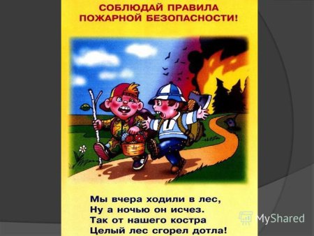 Стишок пожарная безопасность в лесу