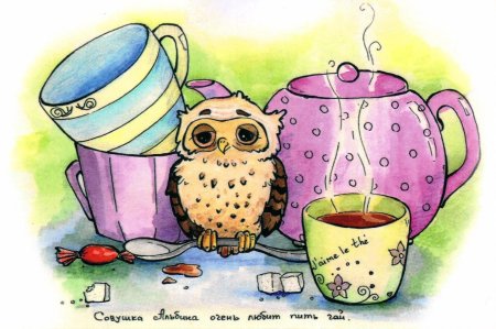 Совенок с чаем